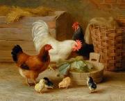 unknow artist Cocks 106 oil painting on canvas